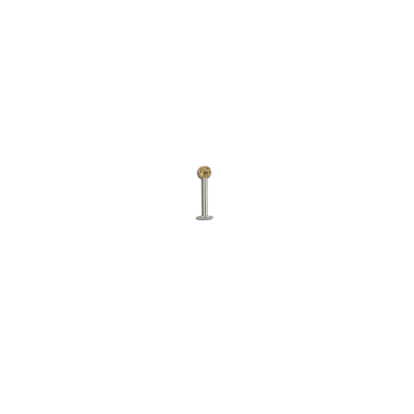 Labret Lip w/Putty-Large
