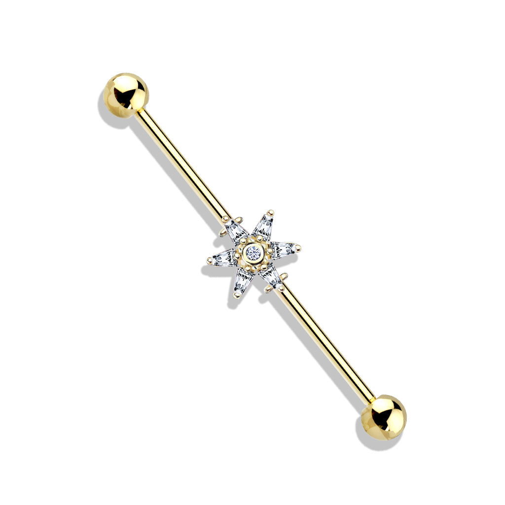 (IB) 6 Princess Cut CZ Petal Flower